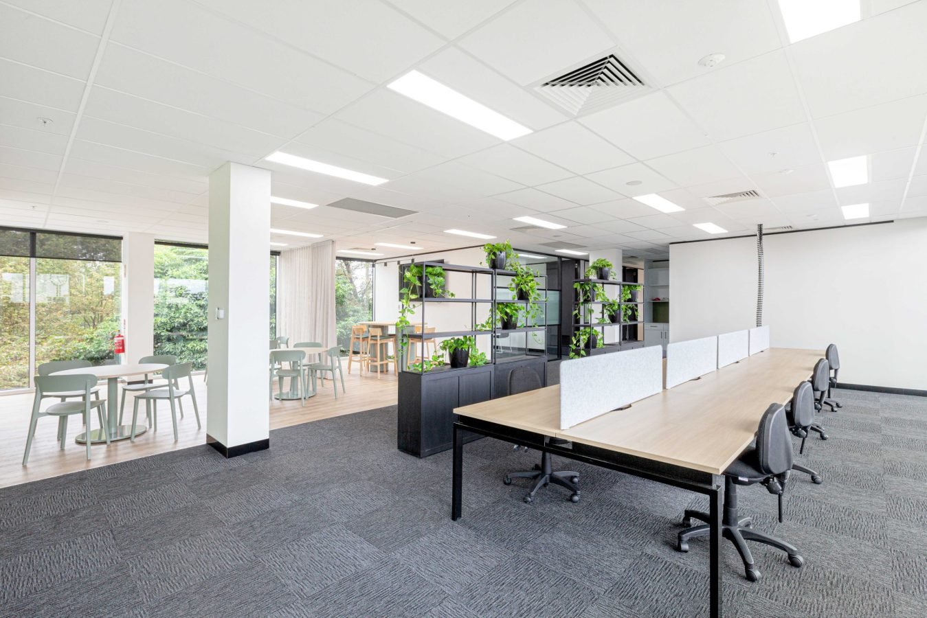 CT COL 1180 Toorak Rd Camberwell 143 scaled e1753613555550
